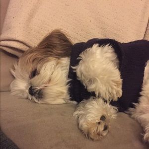 Meet your Posher, Maria